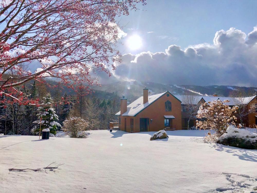 W8 Mount Washington Place Townhome great slope views fireplace large deck yard and ping pong